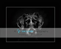 Joe Lundie Photography 1093504 Image 3